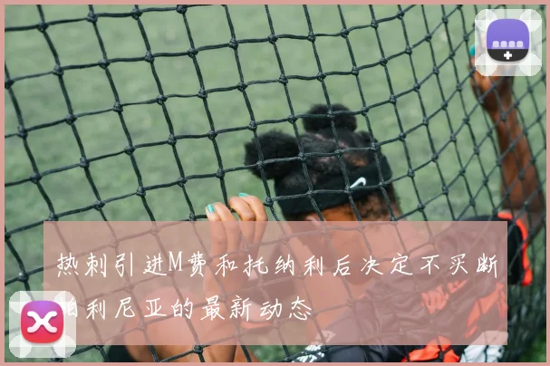 热刺引进M费和托纳利后决定不买断帕利尼亚的最新动态